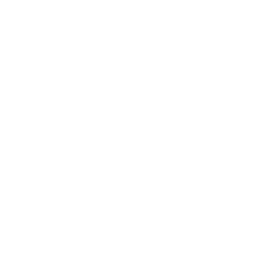 baerskin-no-bs-tees-logo-white-square-transparent